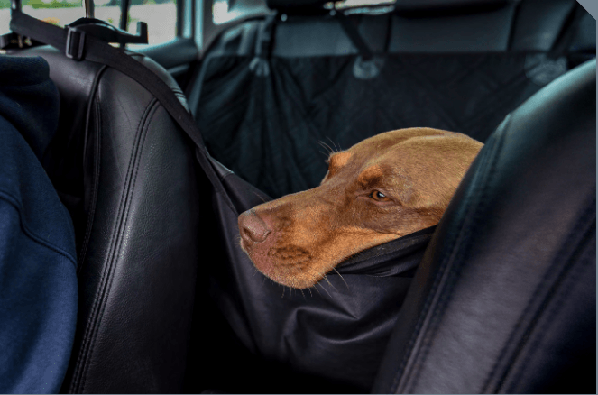 Audi dog hammock clearance