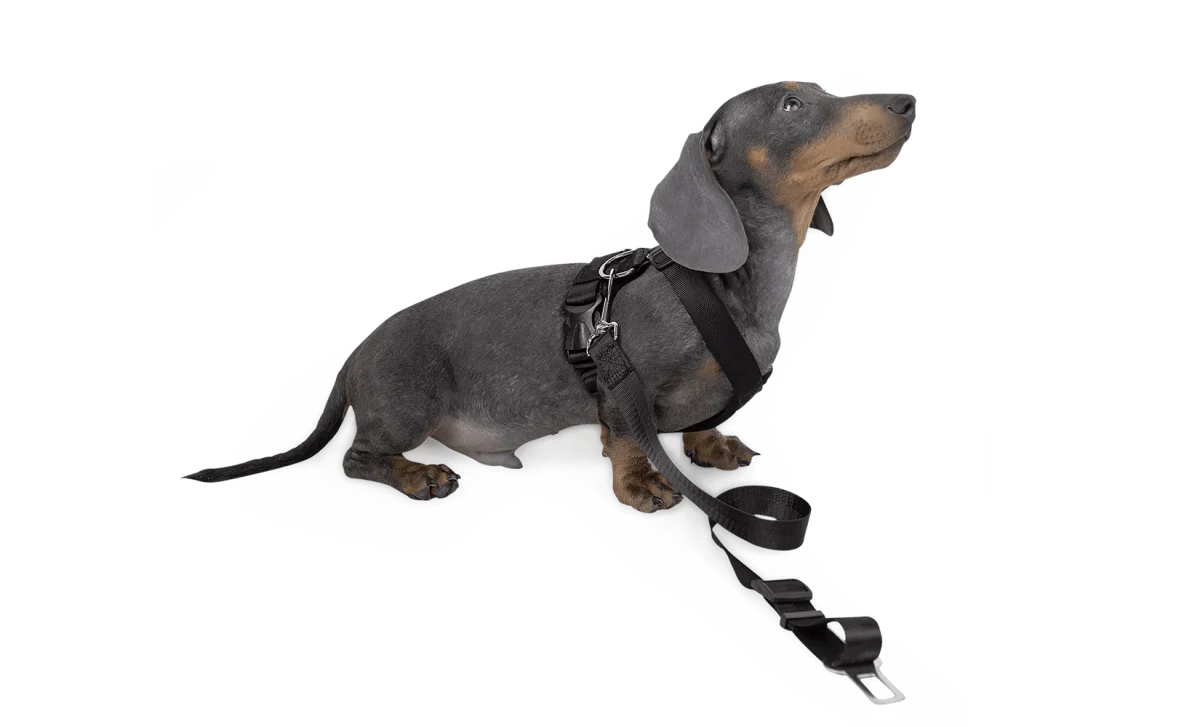 Dog Strap Harness - Small - Green Flag Shop